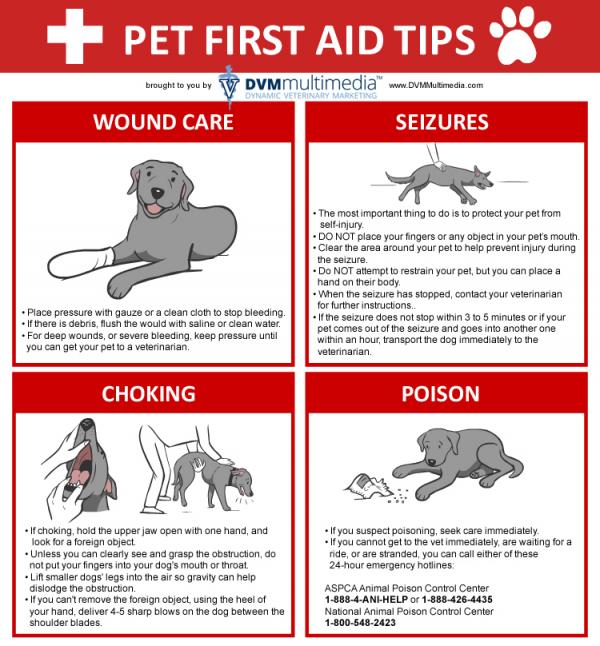 First Aid Tip