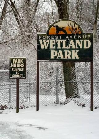 Welcome to Wetland Park
